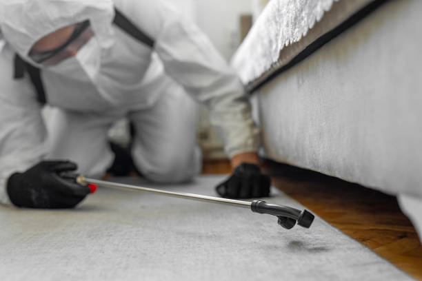 Professional Termite Control technician working in Appleton, WI