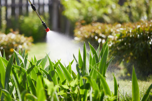 24/7 Emergency Termite Control experts in Appleton, WI