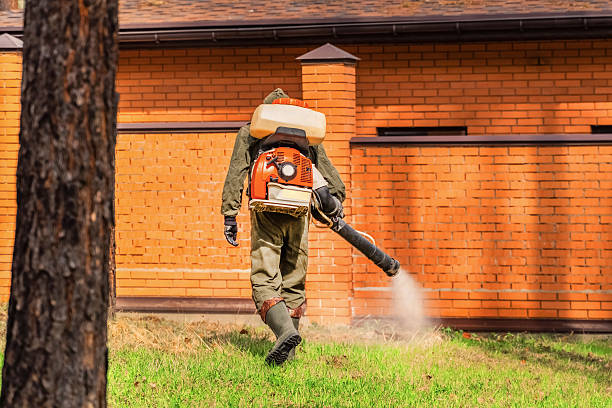 Top rated local Termite Control specialists in Appleton, WI